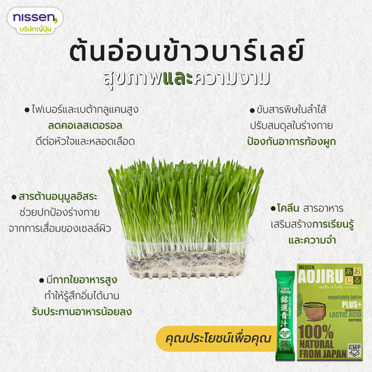 ใบอ่อนข้าวบาร์เลย์ที่อุดมไปด้วยคุณค่า จากเกาะคิวชู